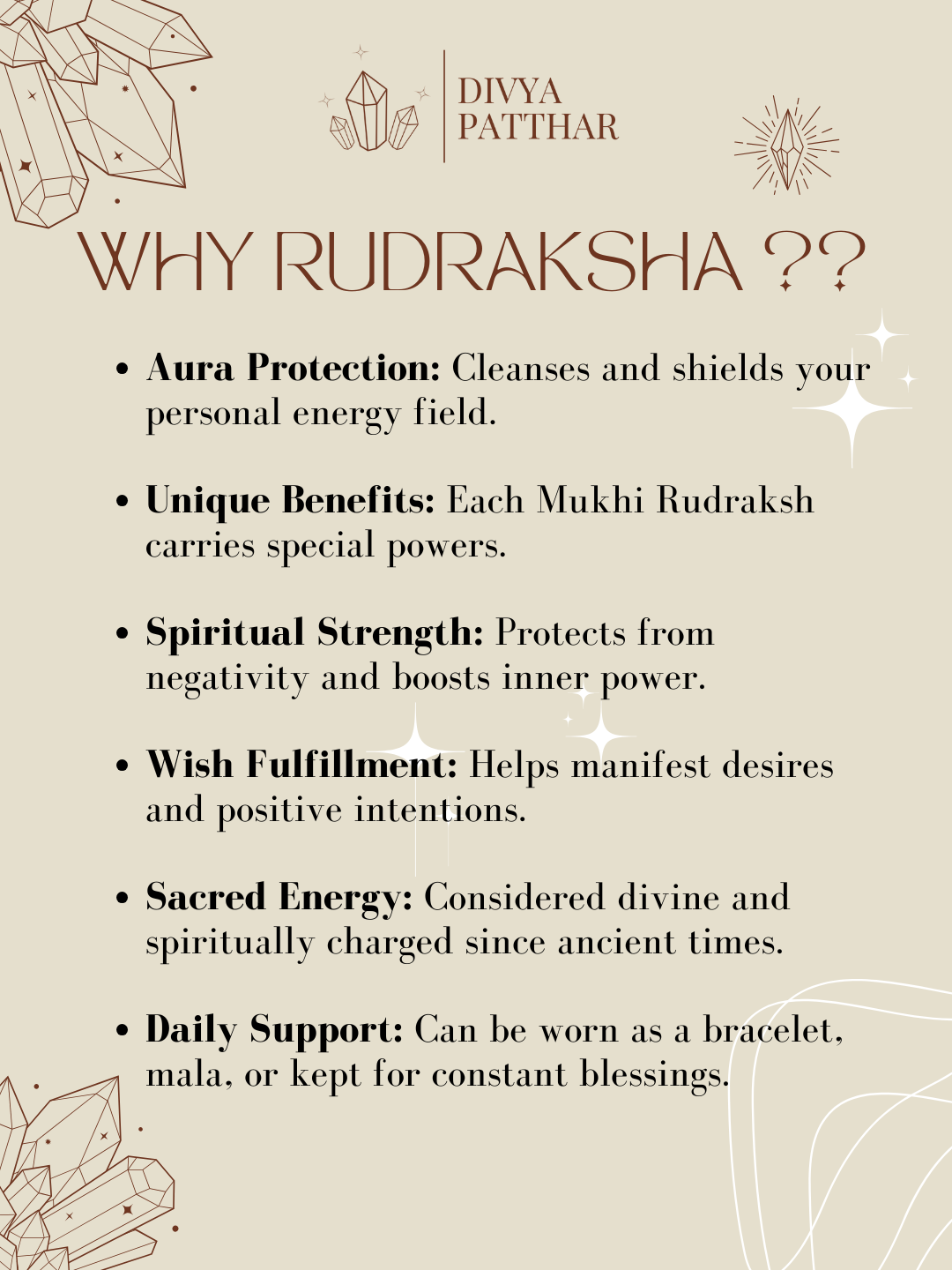 2 Mukhi Rudraksha (Natural | Nepal Origin)