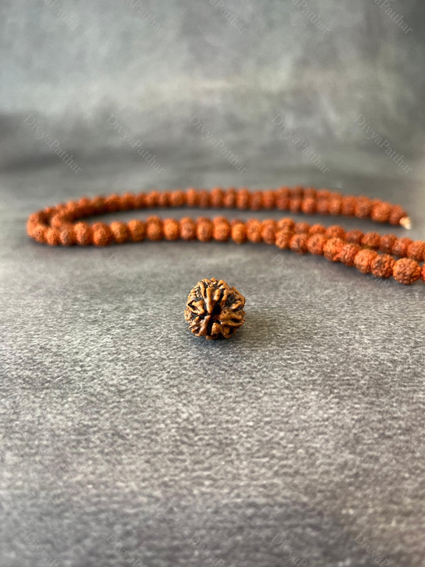 3 Mukhi Rudraksha (Natural | Nepal Origin)