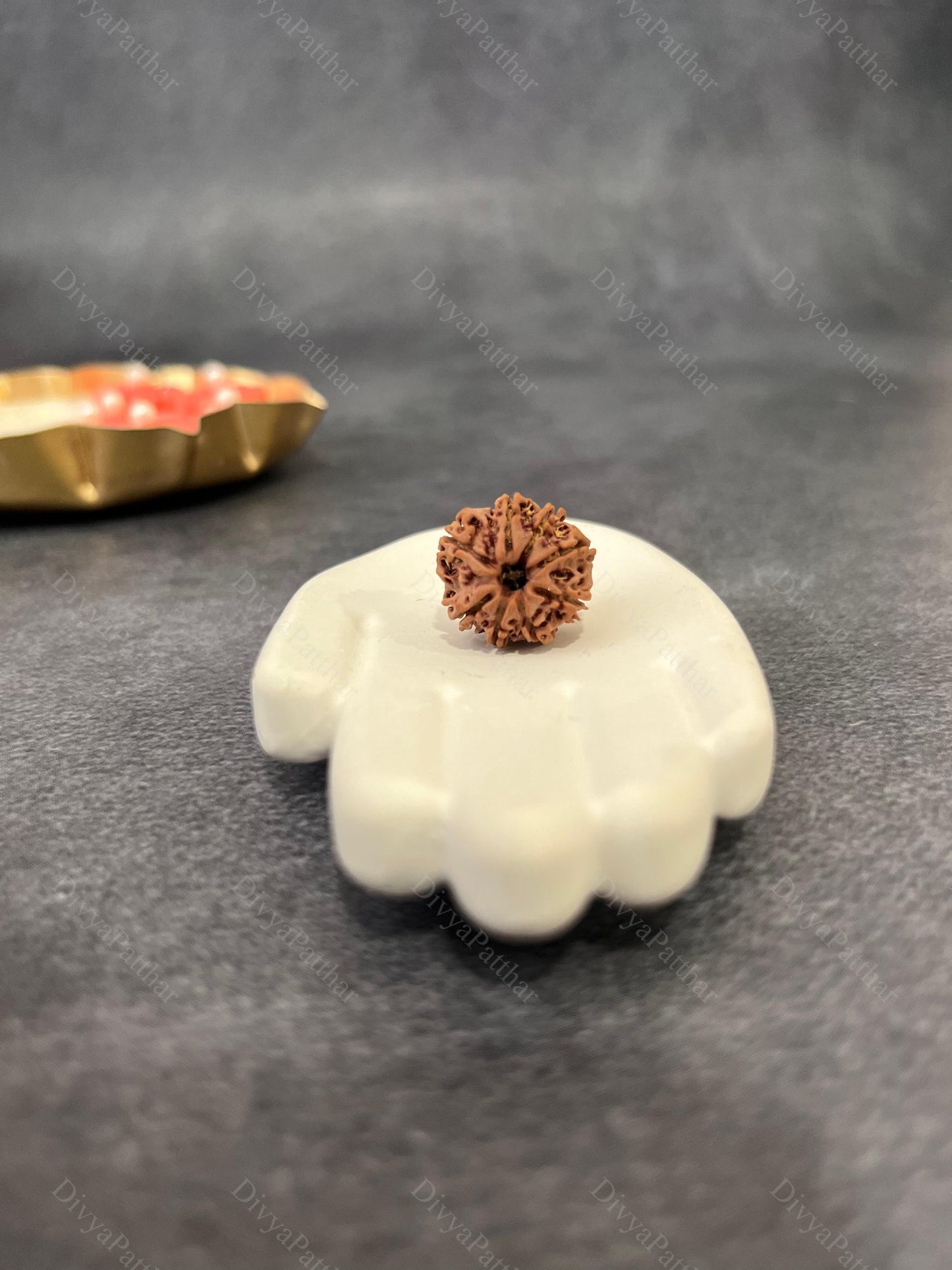 8 Mukhi Rudraksha (Natural | Nepal Origin)