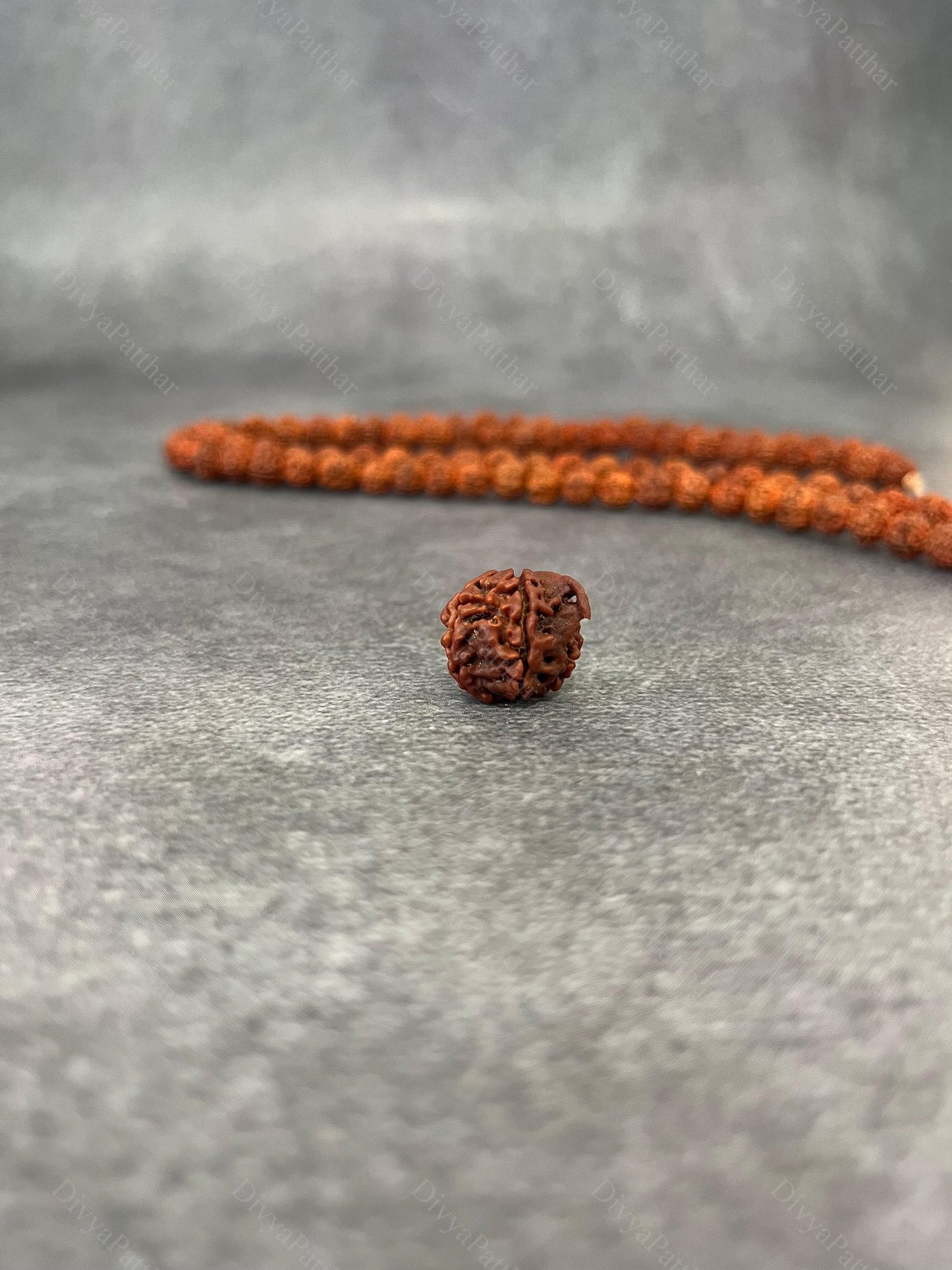 Ganesh Rudraksha (Natural | Nepal Origin)