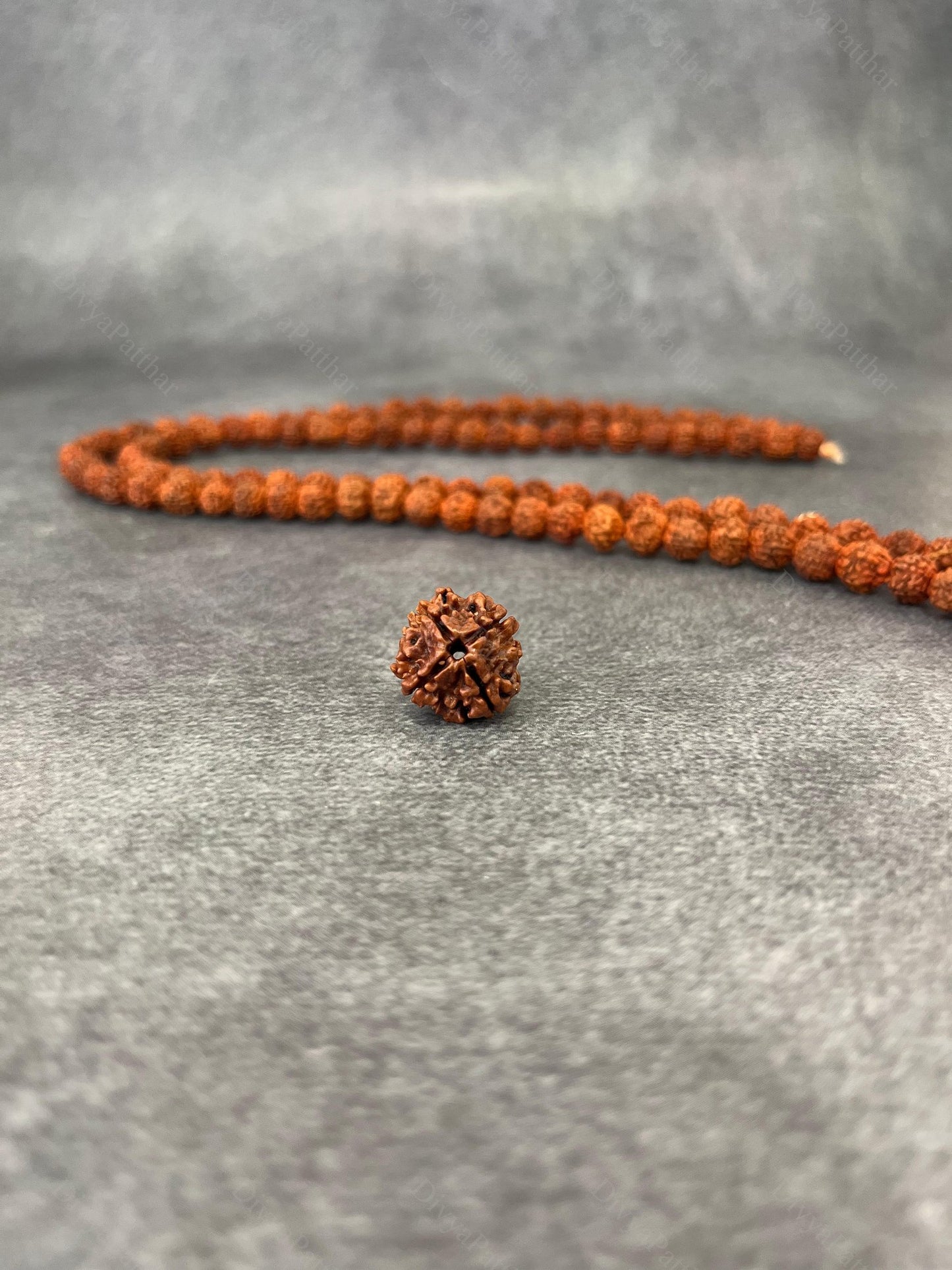 4 Mukhi Rudraksha (Natural | Nepal Origin)