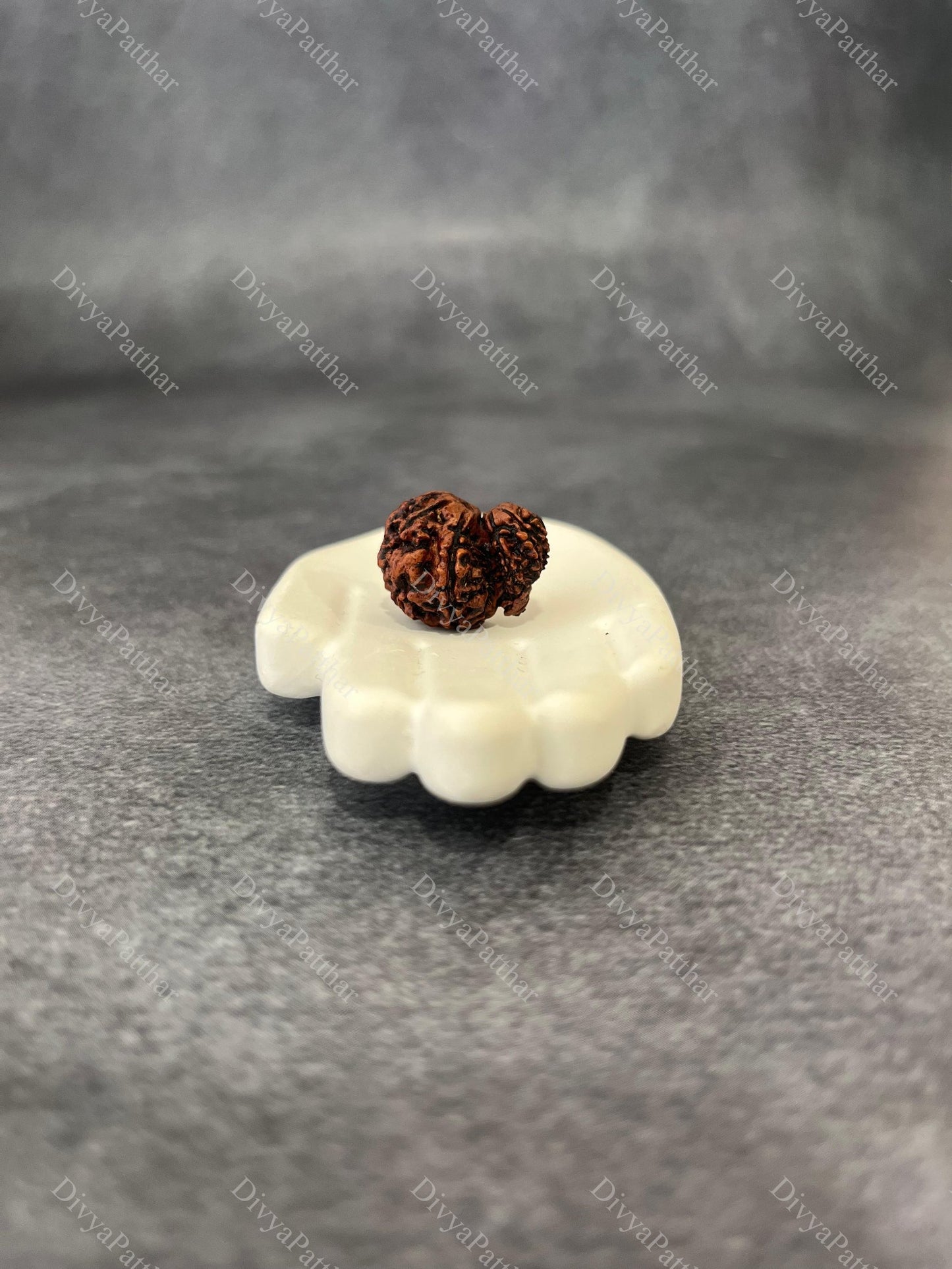 Garbh Gauri Rudraksha (Natural | Nepal Origin)