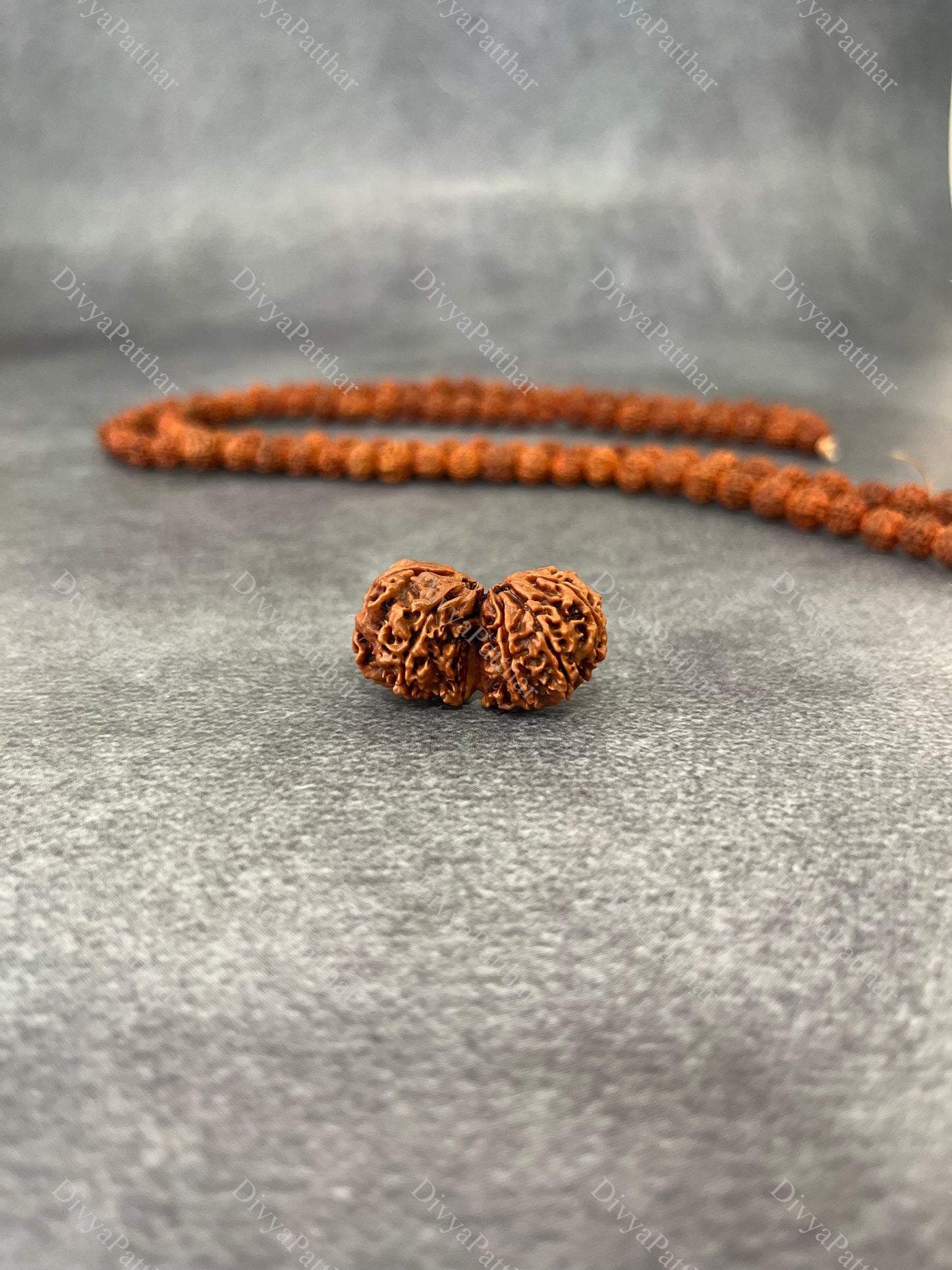 Gauri Shankar Rudraksha (Natural | Nepal Origin)