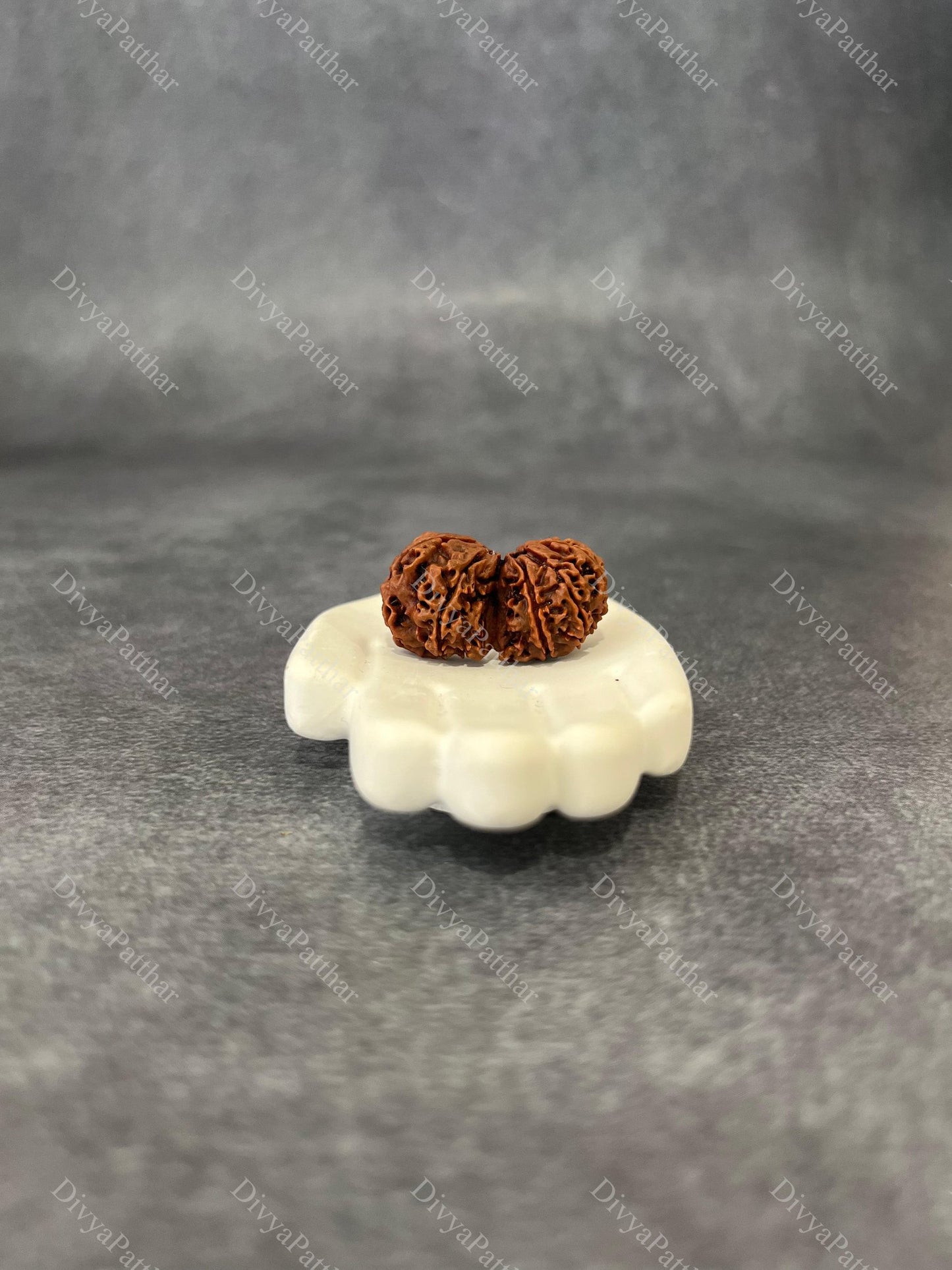 Gauri Shankar Rudraksha (Natural | Nepal Origin)