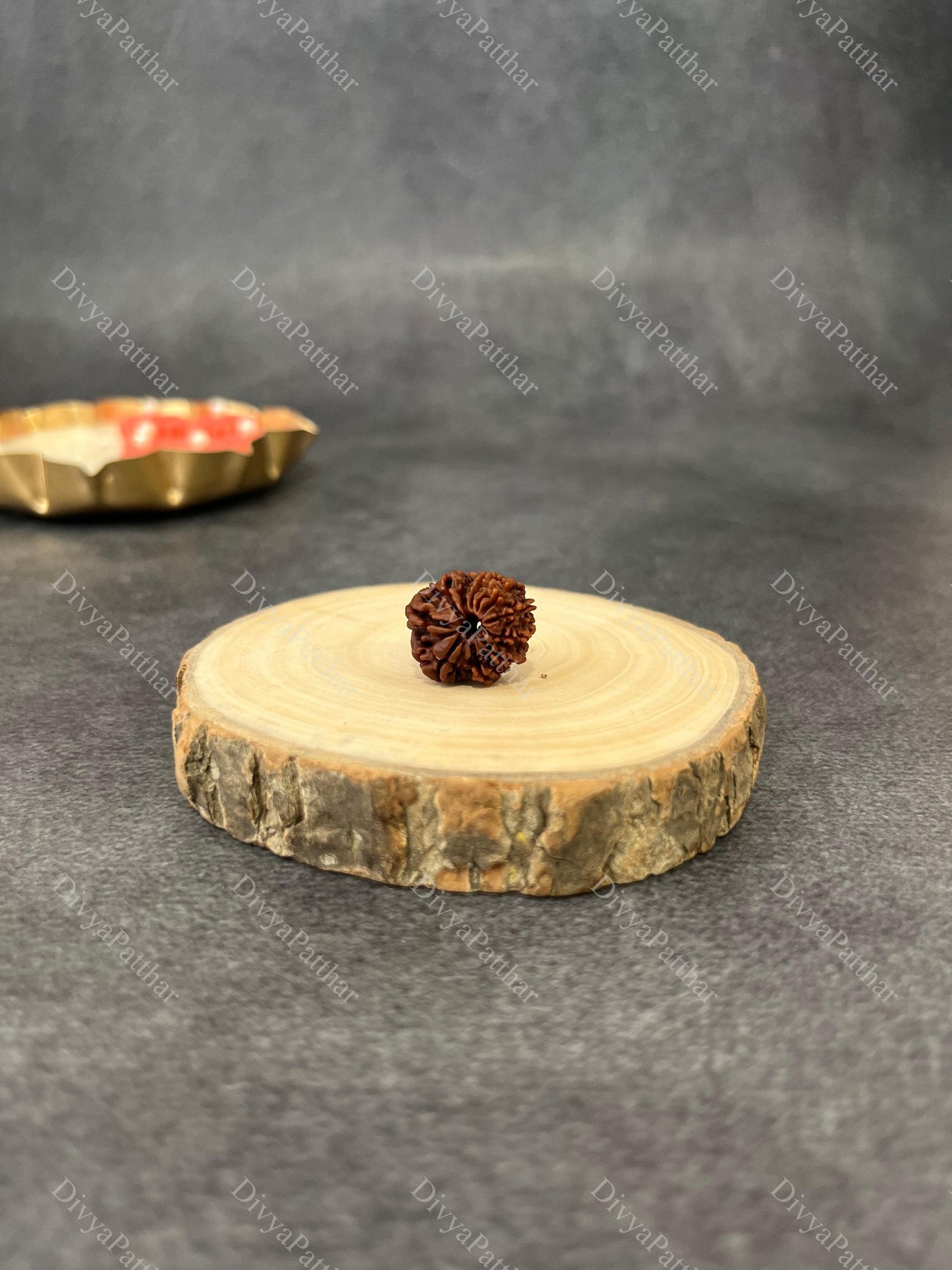 10 Mukhi Rudraksha (Natural | Nepal Origin)
