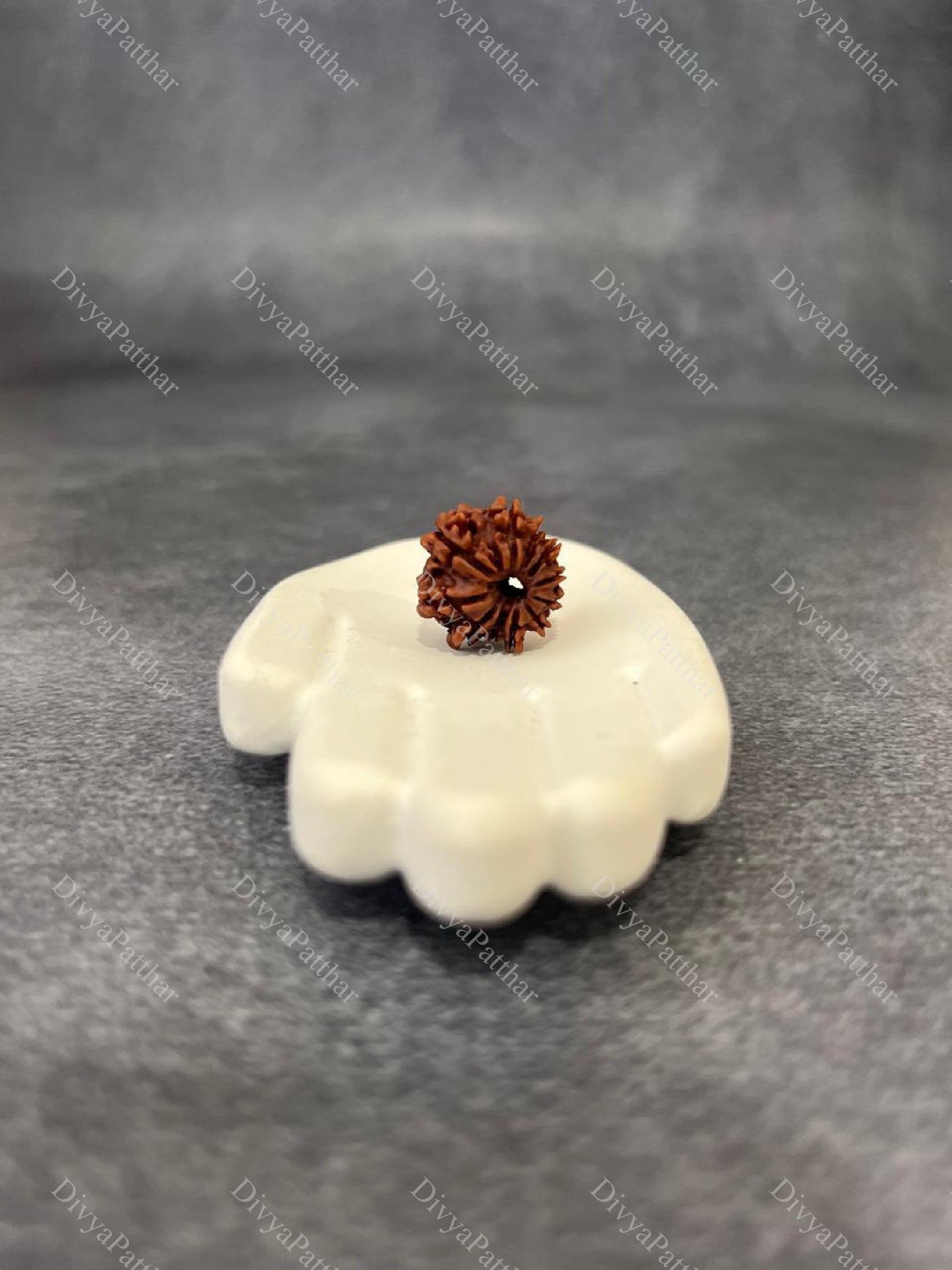 11 Mukhi Rudraksha (Natural | Nepal Origin)
