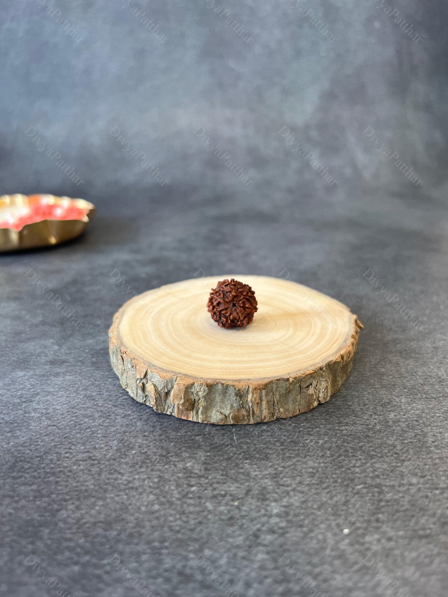 6 Mukhi Rudraksha (Natural | Nepal Origin)