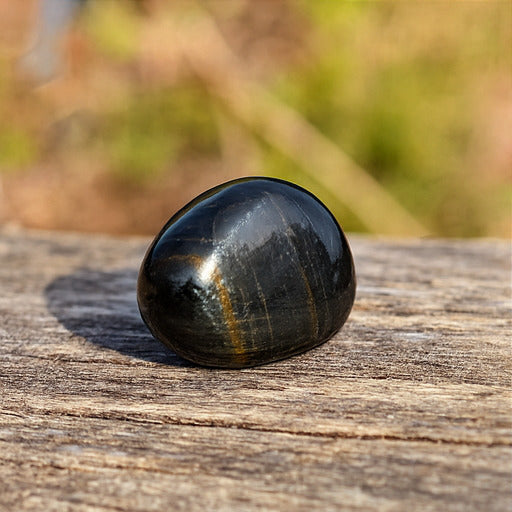 Black Tiger Eye Tumble – Protection, Focus & Inner Strength