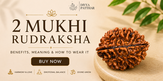 2 Mukhi Rudraksha: Benefits, Meaning & How to Wear It
