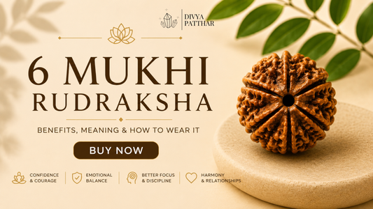 6 Mukhi Rudraksha: Benefits, Meaning & How to Wear It (Complete Guide 2026)