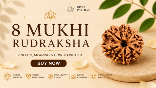 8 Mukhi Rudraksha: Benefits, Meaning & How to Wear It (Complete Guide 2026)