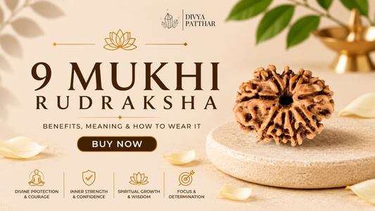 9 Mukhi Rudraksha: Benefits, Meaning & How to Wear It (Complete Guide 2026)