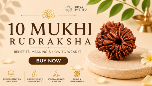 10 Mukhi Rudraksha: Benefits, Meaning & How to Wear It (Complete Guide 2026)