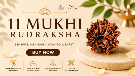11 Mukhi Rudraksha: Benefits, Meaning & How to Wear It (Complete Guide 2026)