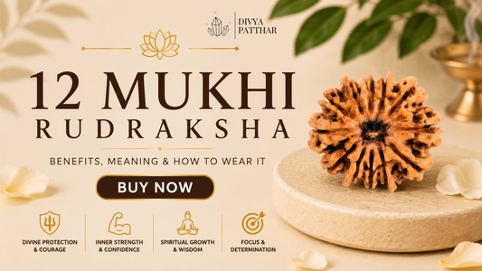 12 Mukhi Rudraksha: Benefits, Meaning & How to Wear It (Complete Guide 2026)