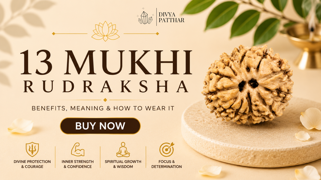 13 Mukhi Rudraksha: Benefits, Meaning & How to Wear It (Complete Guide 2026)