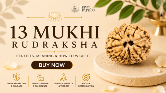 13 Mukhi Rudraksha: Benefits, Meaning & How to Wear It (Complete Guide 2026)