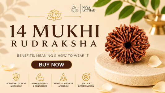 14 Mukhi Rudraksha: Benefits, Meaning & How to Wear It (Complete Guide 2026)