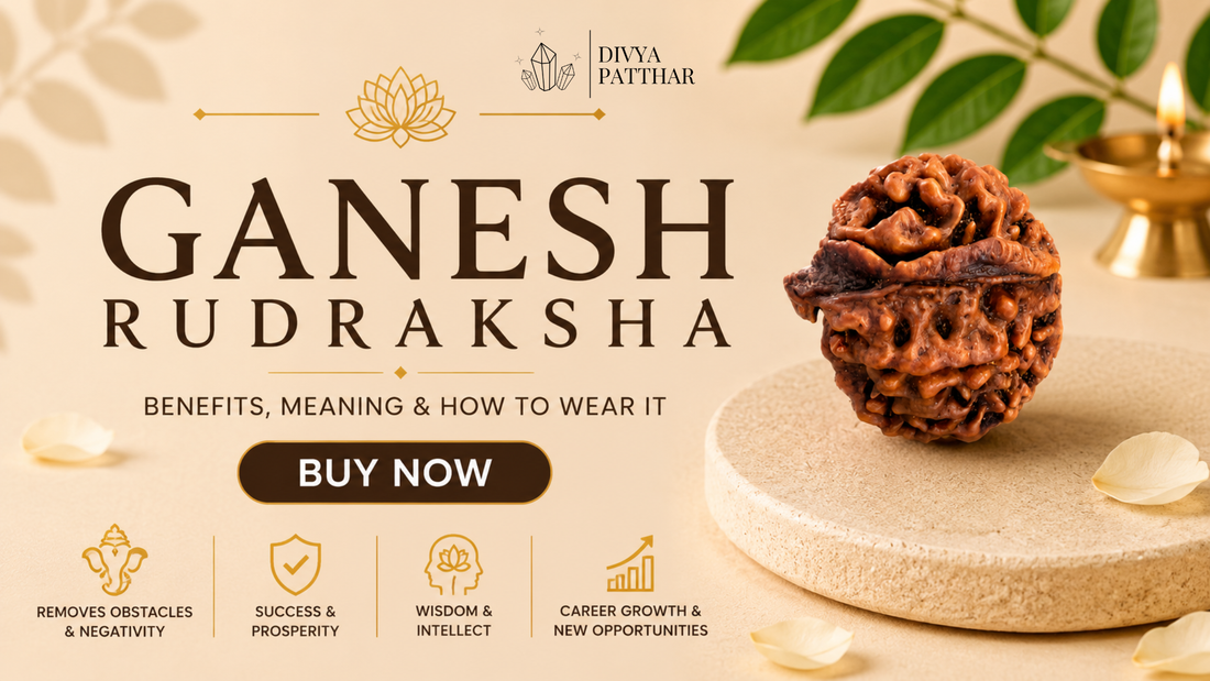 Ganesh Rudraksha: Benefits, Meaning & How to Wear It (Complete Guide 2026)