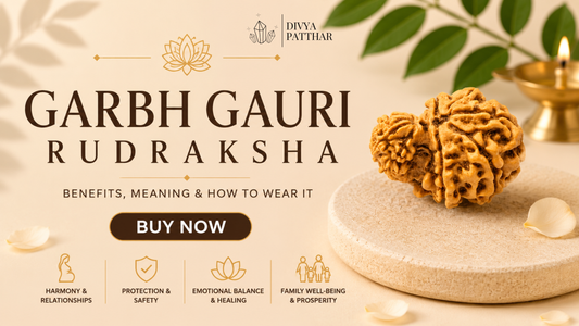 Garbh Gauri Rudraksha: Benefits, Meaning & How to Wear It (Complete Guide 2026)