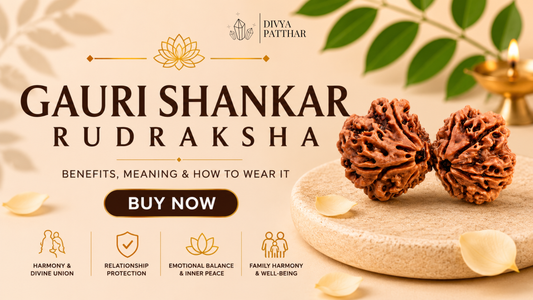 Gauri Shankar Rudraksha: Benefits, Meaning & How to Wear It (Complete Guide 2026)