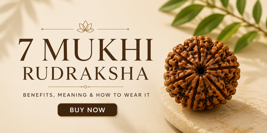 7 Mukhi Rudraksha: Benefits, Meaning & How to Wear It