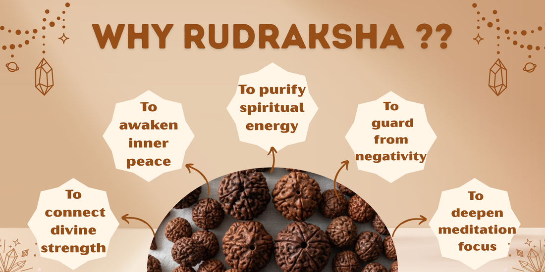 Why Rudraksha ?
