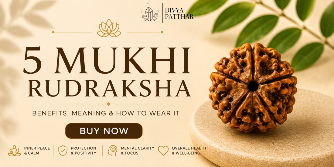5 Mukhi Rudraksha: Benefits, Meaning & How to Wear It (Complete Guide 2026)