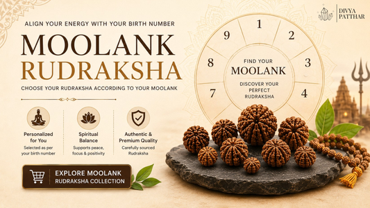 Choose the Right Rudraksha According to Your Moolank – A Complete Numerology Guide