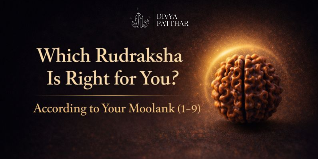 Which Rudraksha Should You Wear According to Your Moolank?