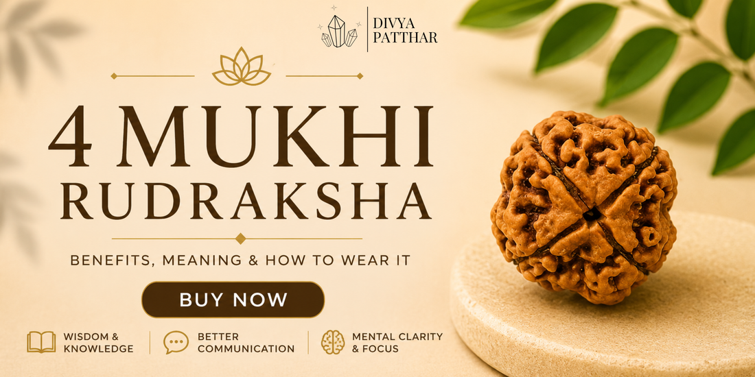 4 Mukhi Rudraksha: Benefits, Meaning & How to Wear It (Complete Guide 2026)