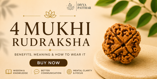 4 Mukhi Rudraksha: Benefits, Meaning & How to Wear It (Complete Guide 2026)