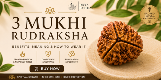 3 Mukhi Rudraksha: Benefits, Meaning & How to Wear It