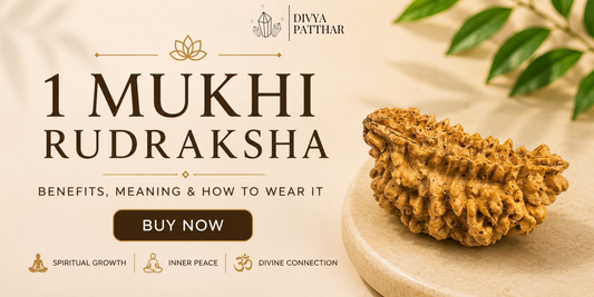 1 Mukhi Rudraksha: Benefits, Meaning & How to Wear It