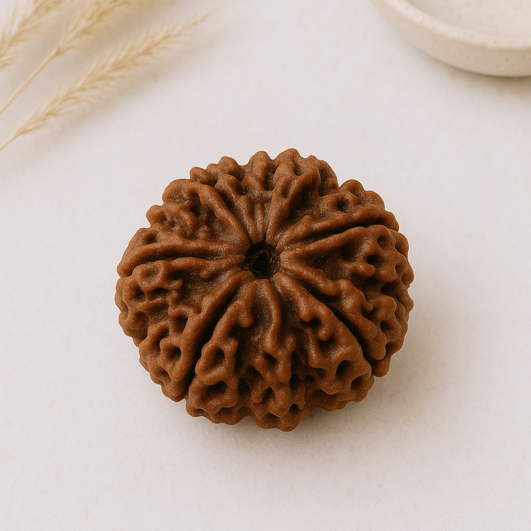 Rudraksha