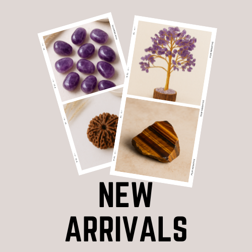 New Arrivals