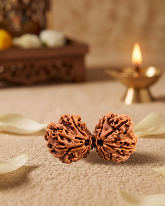 Gauri Shankar Rudraksha (Natural | Nepal Origin)