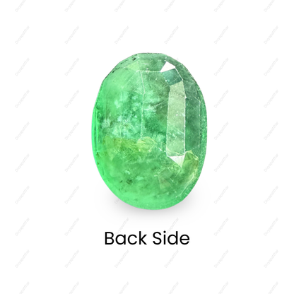 Natural Emerald (Panna) Gemstone – Oval Shape (6.45 Carat | 7.03 Ratti | 13.4 × 10 × 6.4 mm)