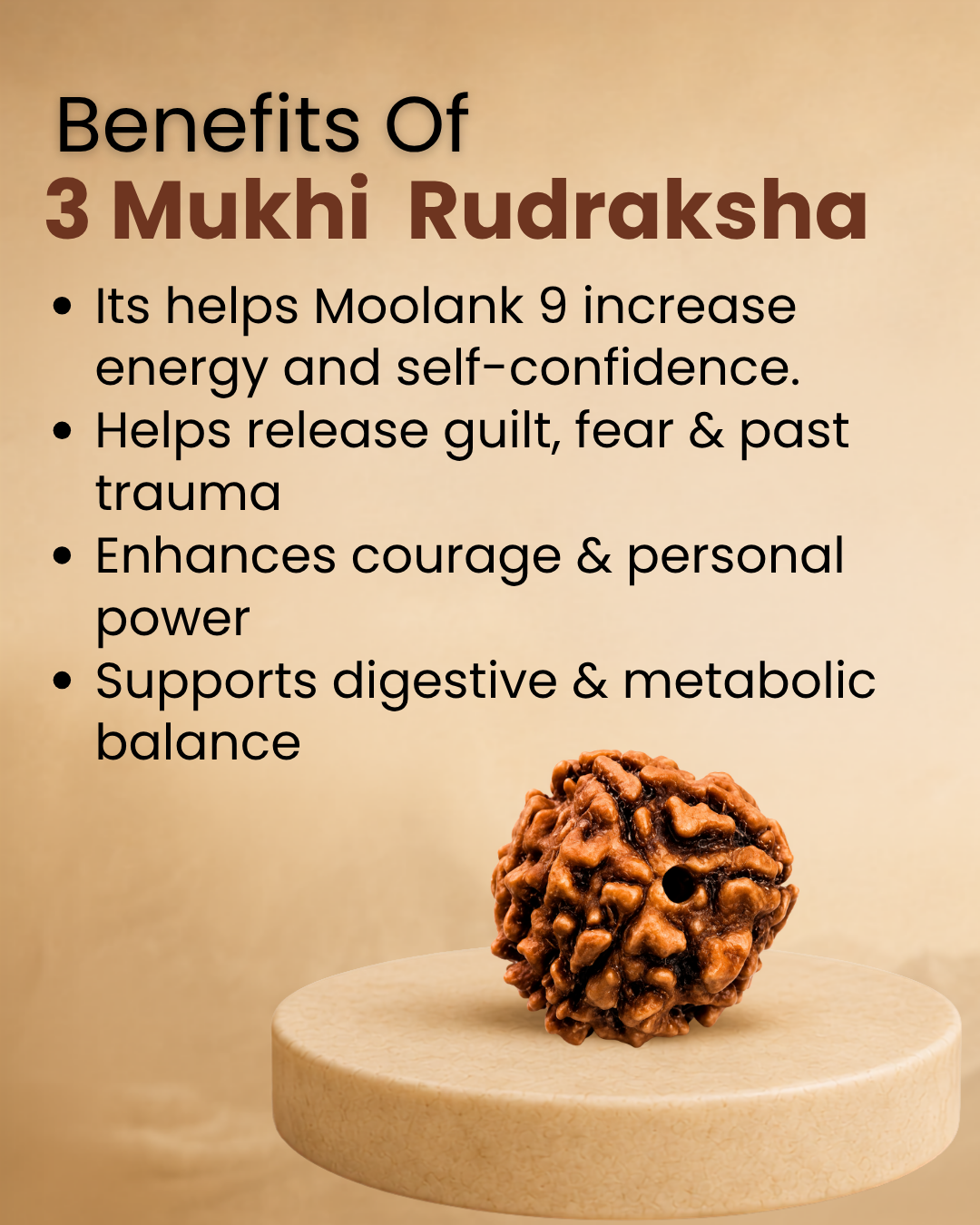 3 Mukhi Rudraksha for Moolank 9 and Action-Driven Souls Ruled by Mars (Natural | Nepal Origin)