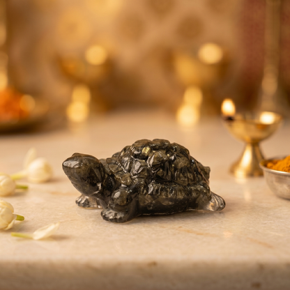 Pyrite Tortoise for Vastu Purpose – Wealth, Protection & Financial Growth