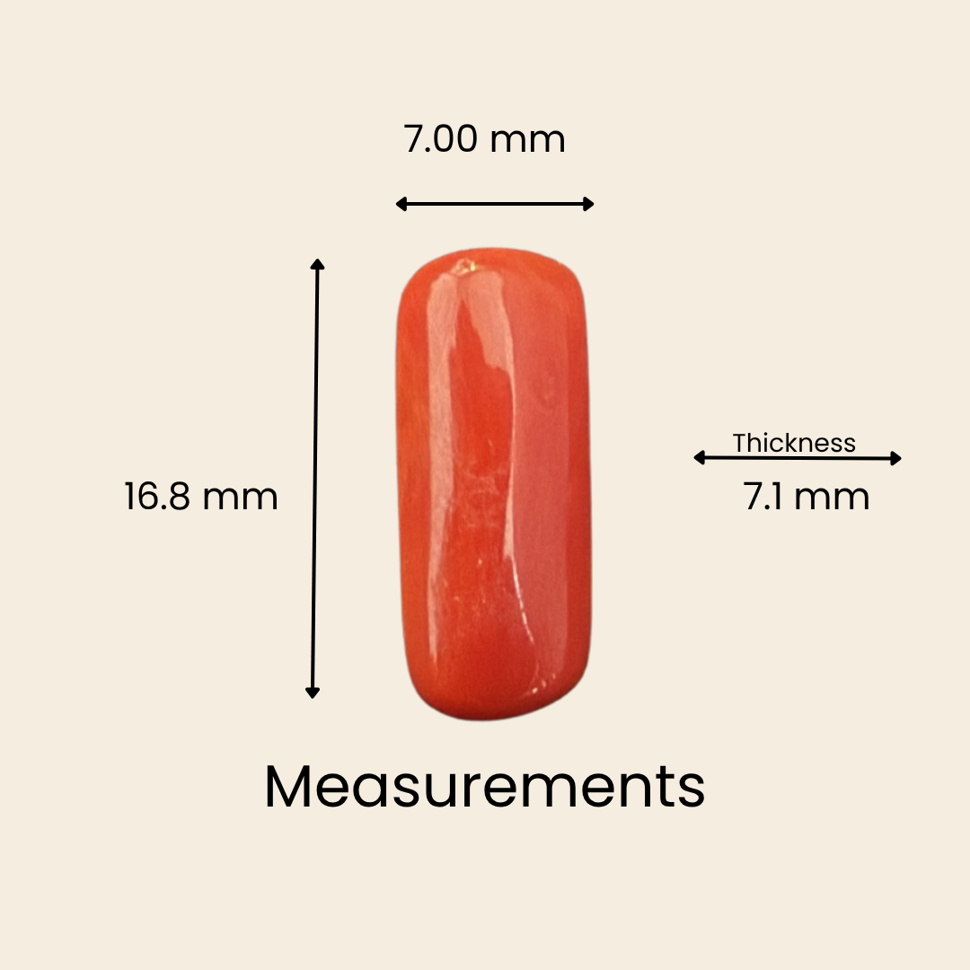 Natural Italian Red Coral (Moonga) Gemstone – Cabochon Shape (7.15 Carat | 7.79 Ratti | 16.8 × 7.0 × 7.1 mm)