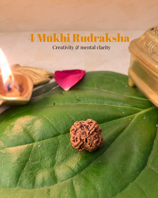 4 Mukhi Rudraksha (Natural | Nepal Origin)