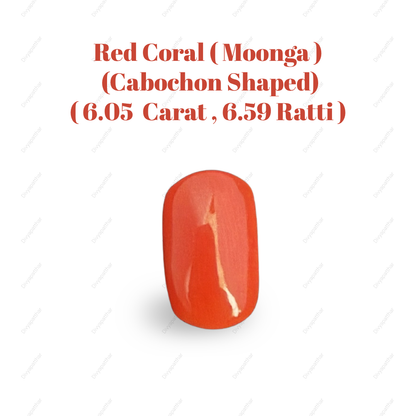 Natural Red Coral (Moonga) Gemstone – Cabochon Shape (6.05 Carat | 6.59 Ratti | 13.1 × 7.9 × 7.2 mm)