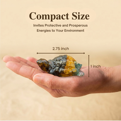 Money Magnet Tortoise for Vastu Purpose – Attract Wealth, Opportunities & Financial Abundance