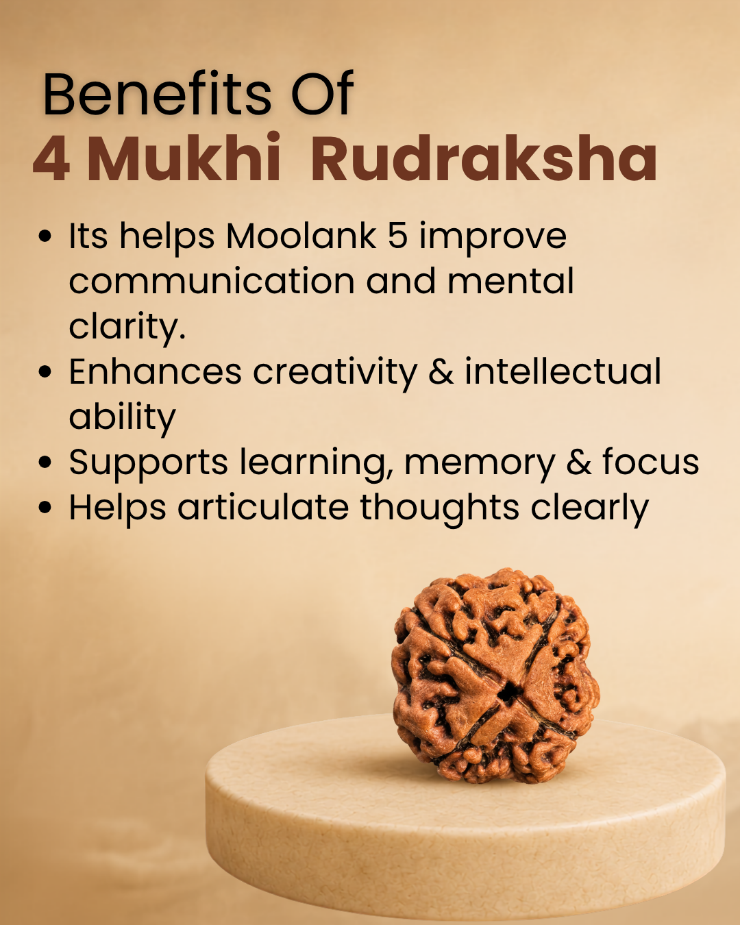 4 Mukhi Rudraksha for Moolank 5 and Intellect-Driven Minds Ruled by Mercury (Natural | Nepal Origin)