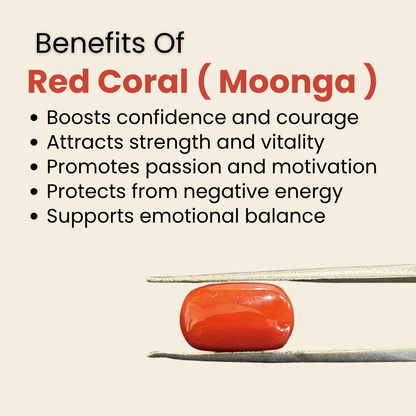 Natural Red Coral (Moonga) Gemstone – Cabochon Shape (6.05 Carat | 6.59 Ratti | 13.1 × 7.9 × 7.2 mm)