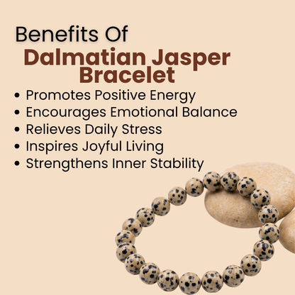 Dalmatian Jasper Bracelet