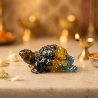 Money Magnet Tortoise for Vastu Purpose – Attract Wealth, Opportunities & Financial Abundance