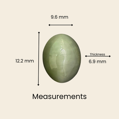 Natural Cat's Eye Gemstone – Oval Shape (5.45 Carat | 5.94 Ratti | L 12.2 × B 9.6 × H 6.9 mm)