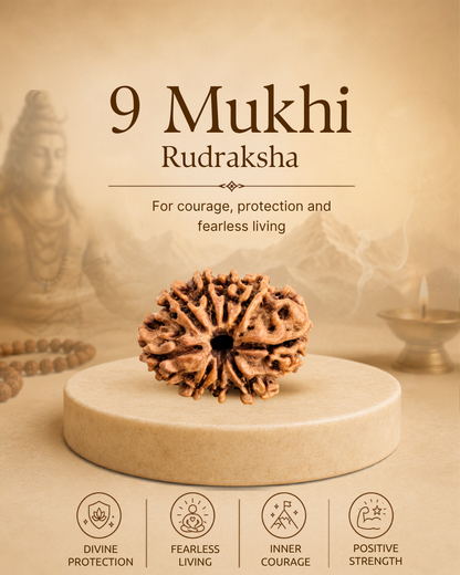 9 Mukhi Rudraksha (Natural | Nepal Origin)